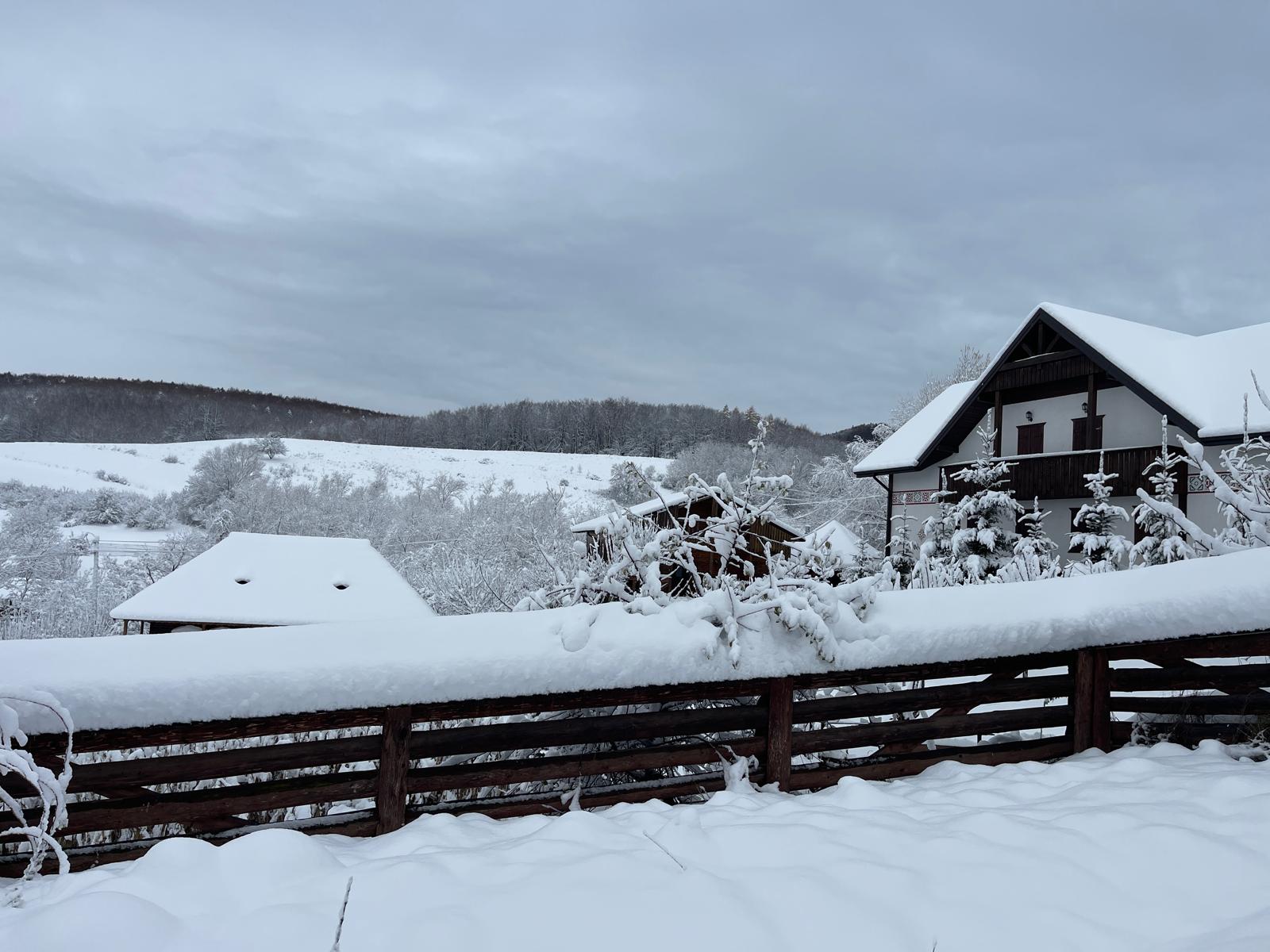 Pensiunea Bucovina Star (8)